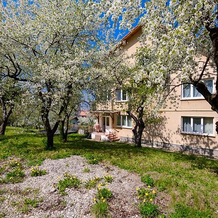 Casa Cu Cires Brasov Apartment Екстериор снимка