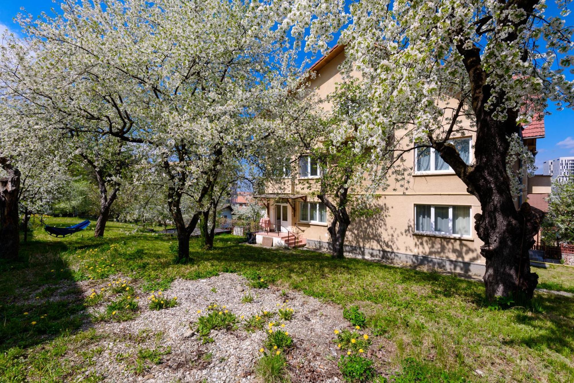 Casa Cu Cires Brasov Apartment Екстериор снимка