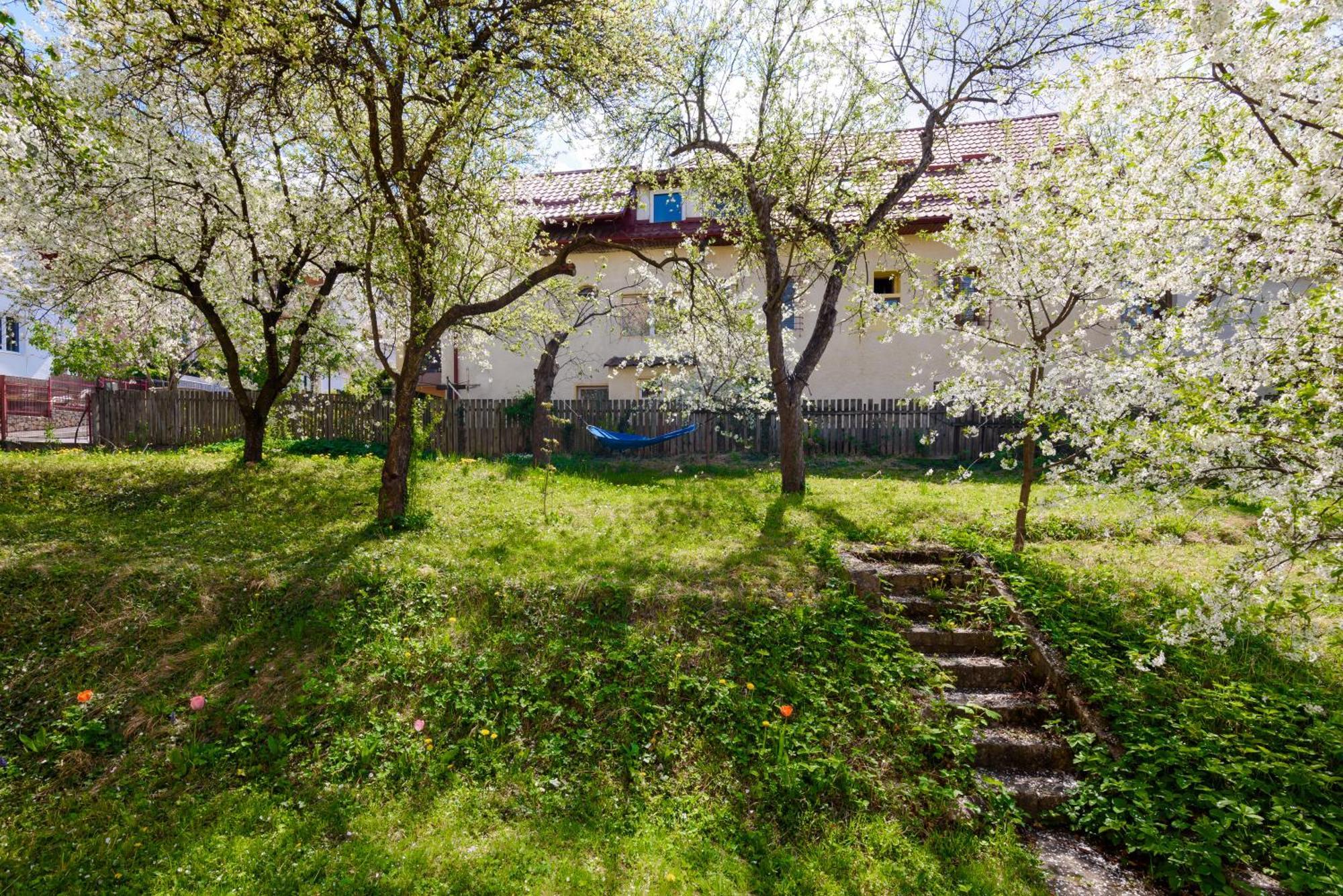 Casa Cu Cires Brasov Apartment Екстериор снимка