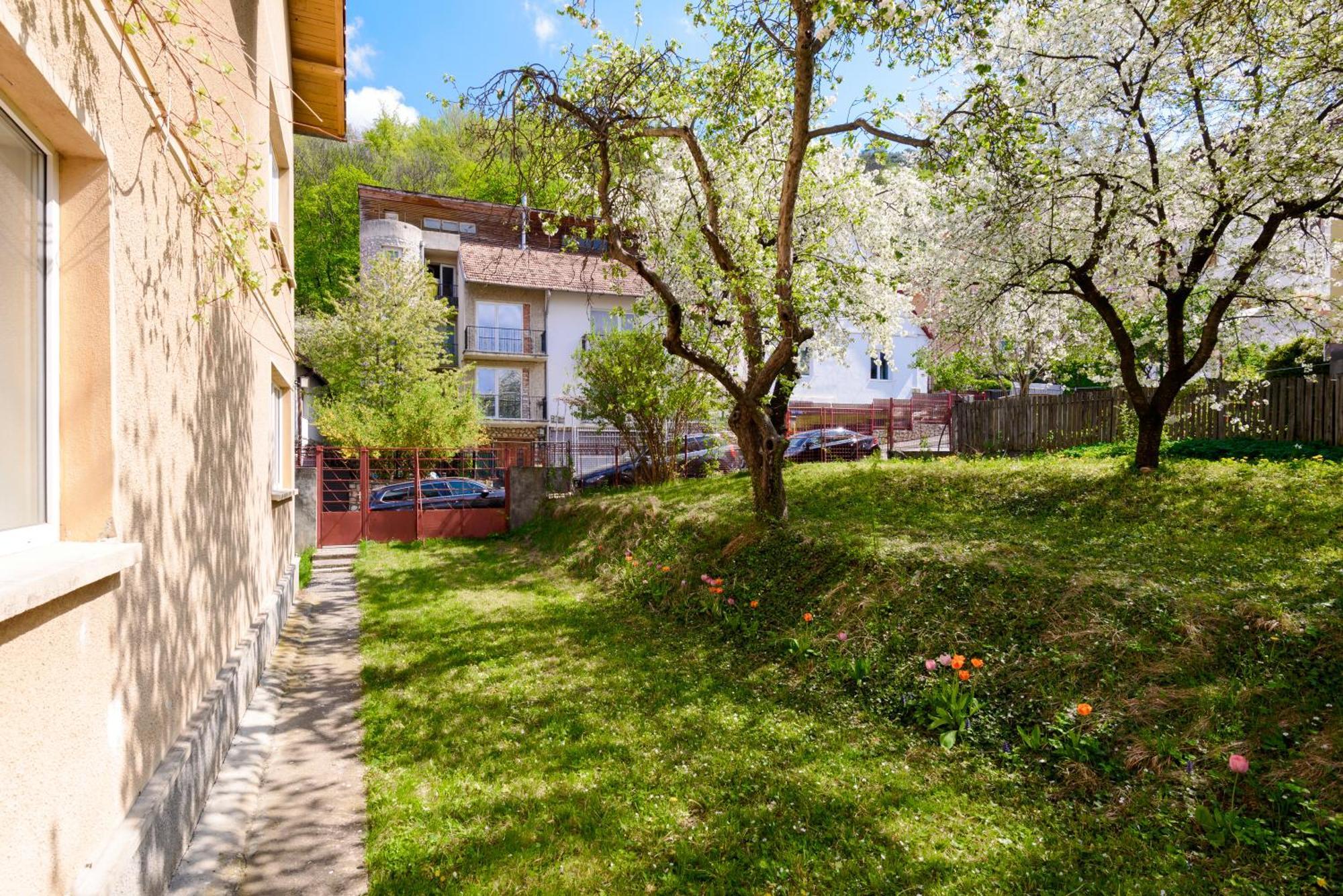 Casa Cu Cires Brasov Apartment Екстериор снимка