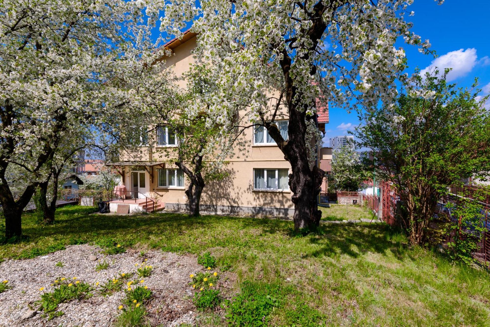 Casa Cu Cires Brasov Apartment Екстериор снимка